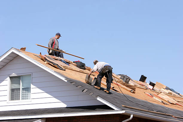 Best Chimney Flashing Repair  in Inverness Highlands North, FL